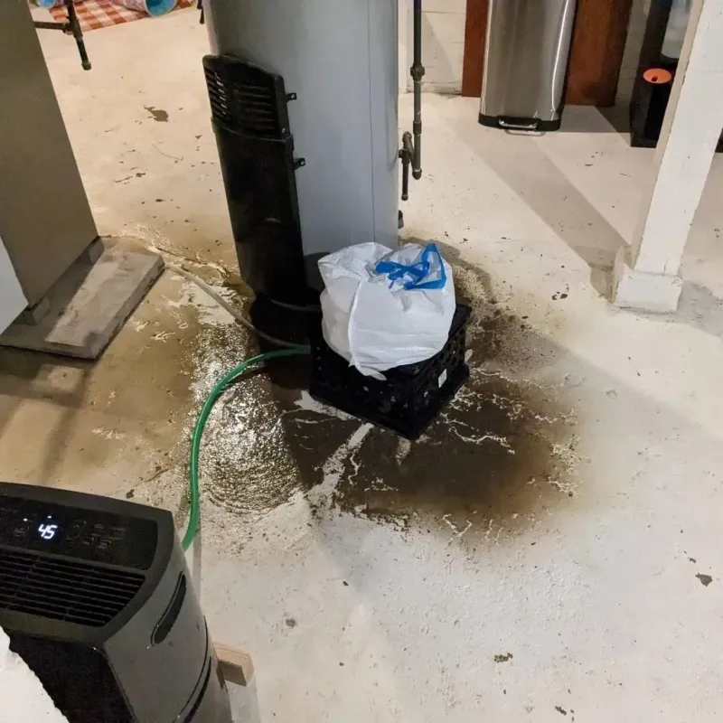 Sewage Backup Cleanup Service in Indian Head, MD